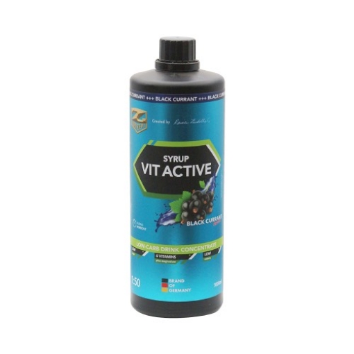 Bild von VITACTIVE-SIRUP + L-CARNITIN - 1000ML HEIDELBEEREN