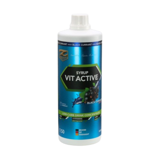 Bild von VITACTIVE-SIRUP + L-CARNITIN - 1000ML HEIDELBEEREN